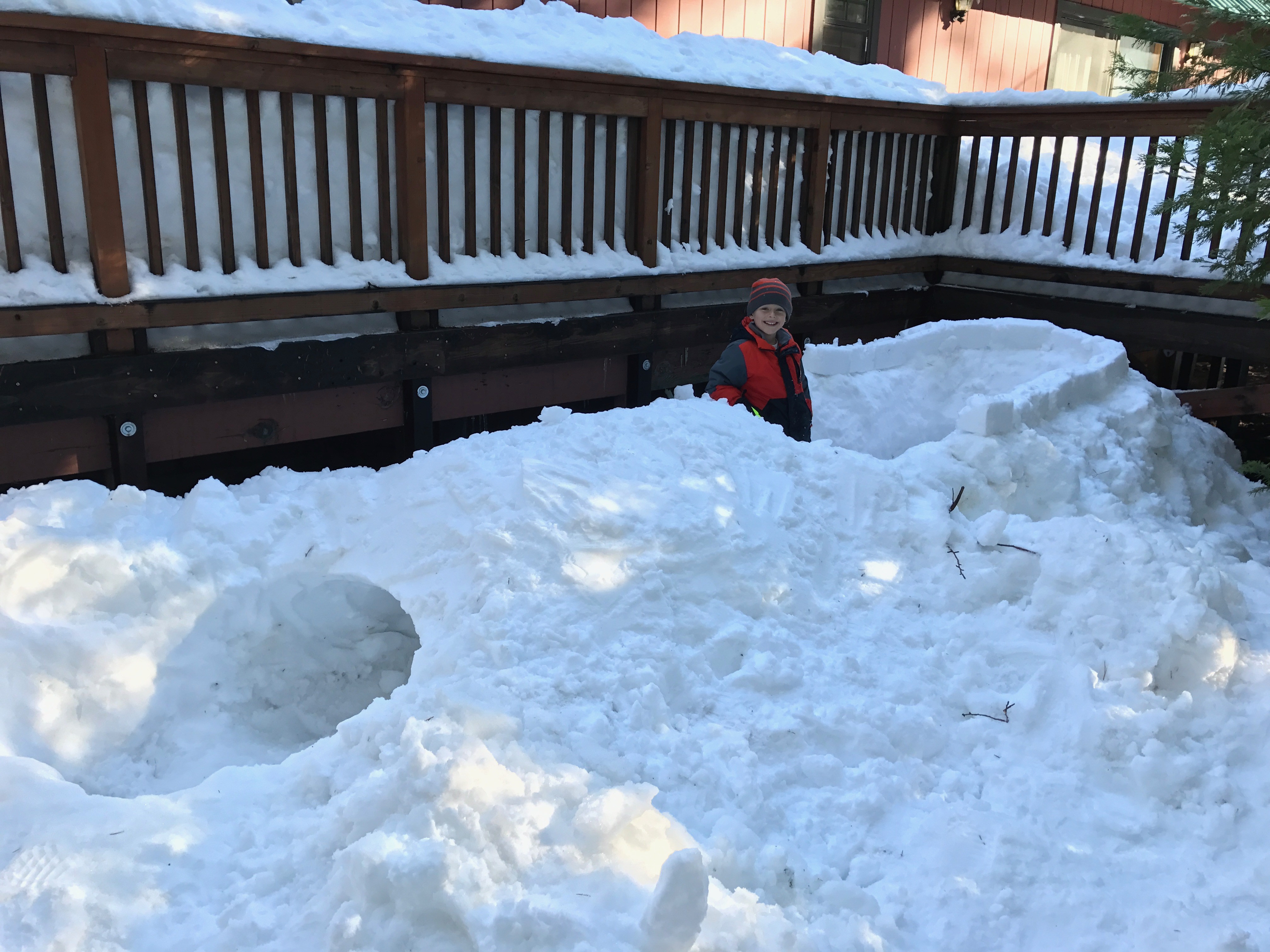 THE Snow Fort @ Shaver Lake